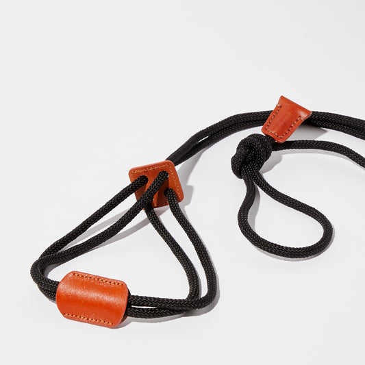 2 in 1 leash and harness