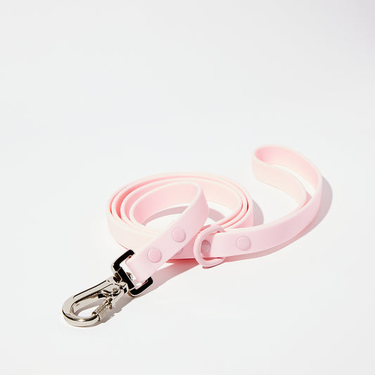 Pink Waterproof Leash