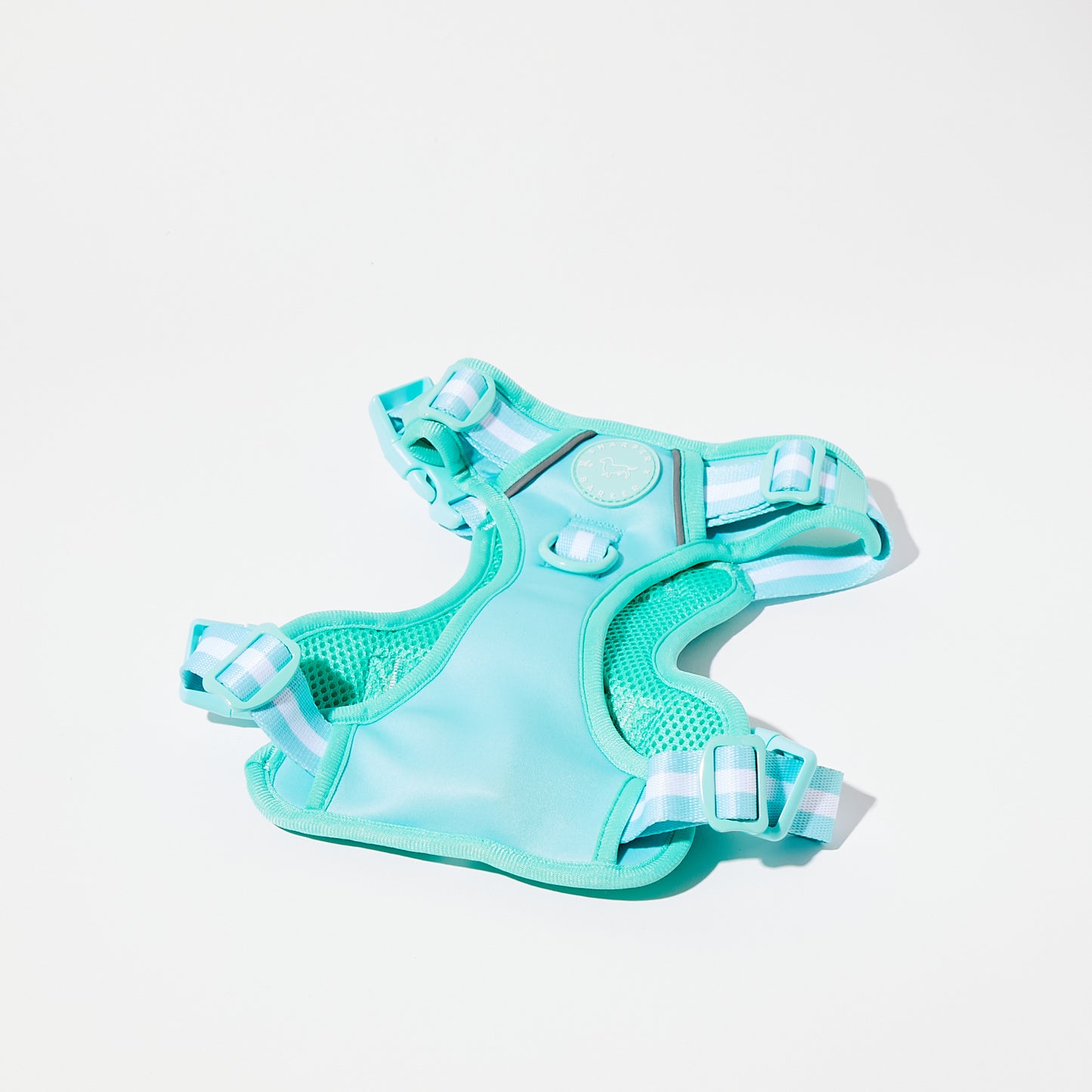 Turquoise Reflective Harness